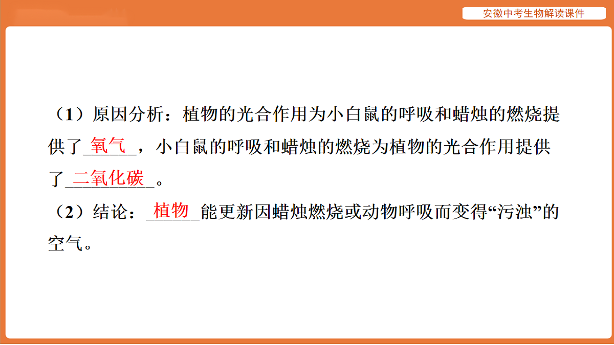 17914488第7页