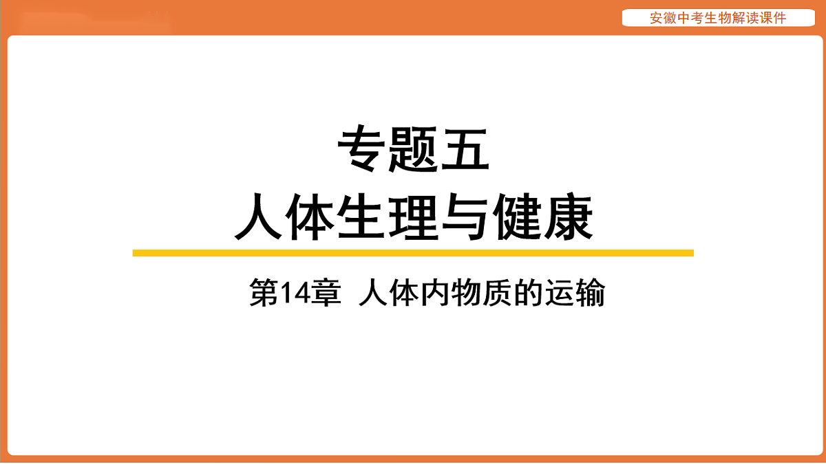 17914491第1页
