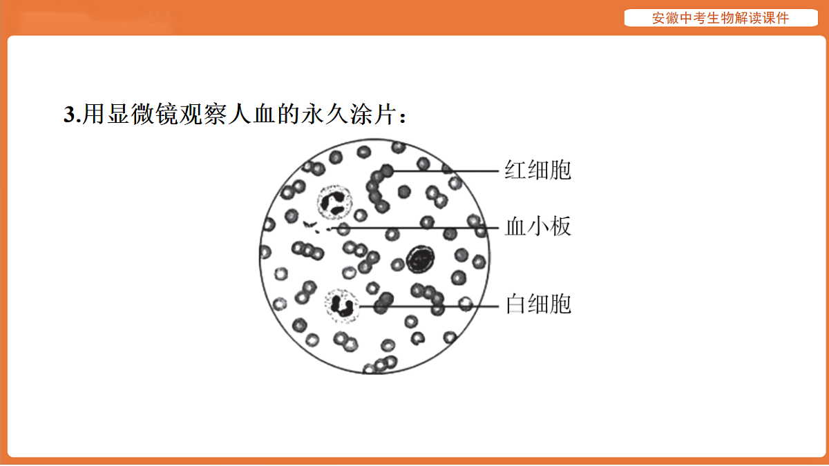 17914491第7页
