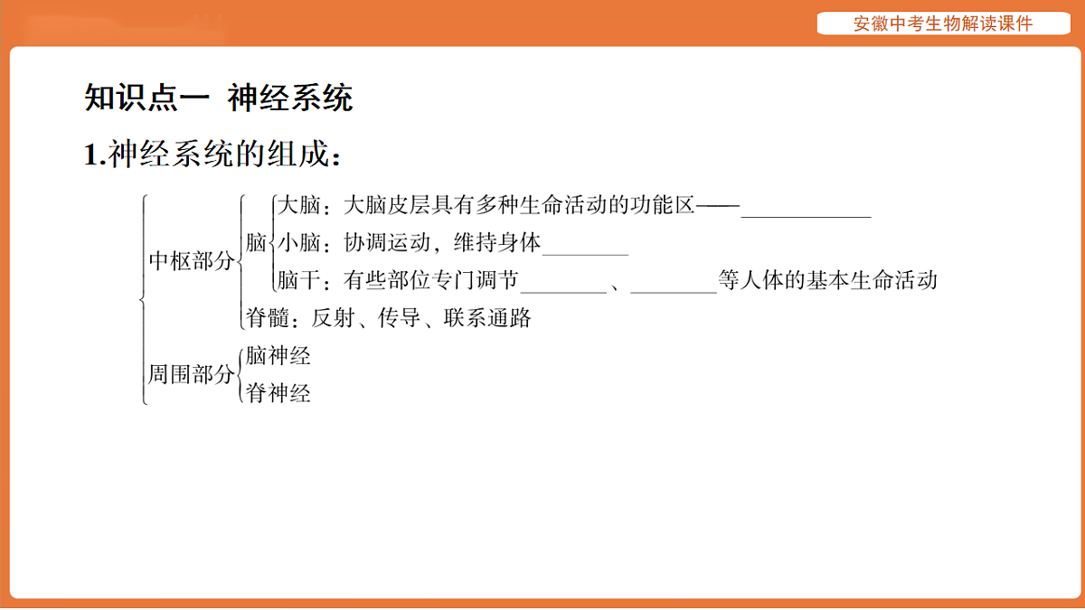17914493第7页
