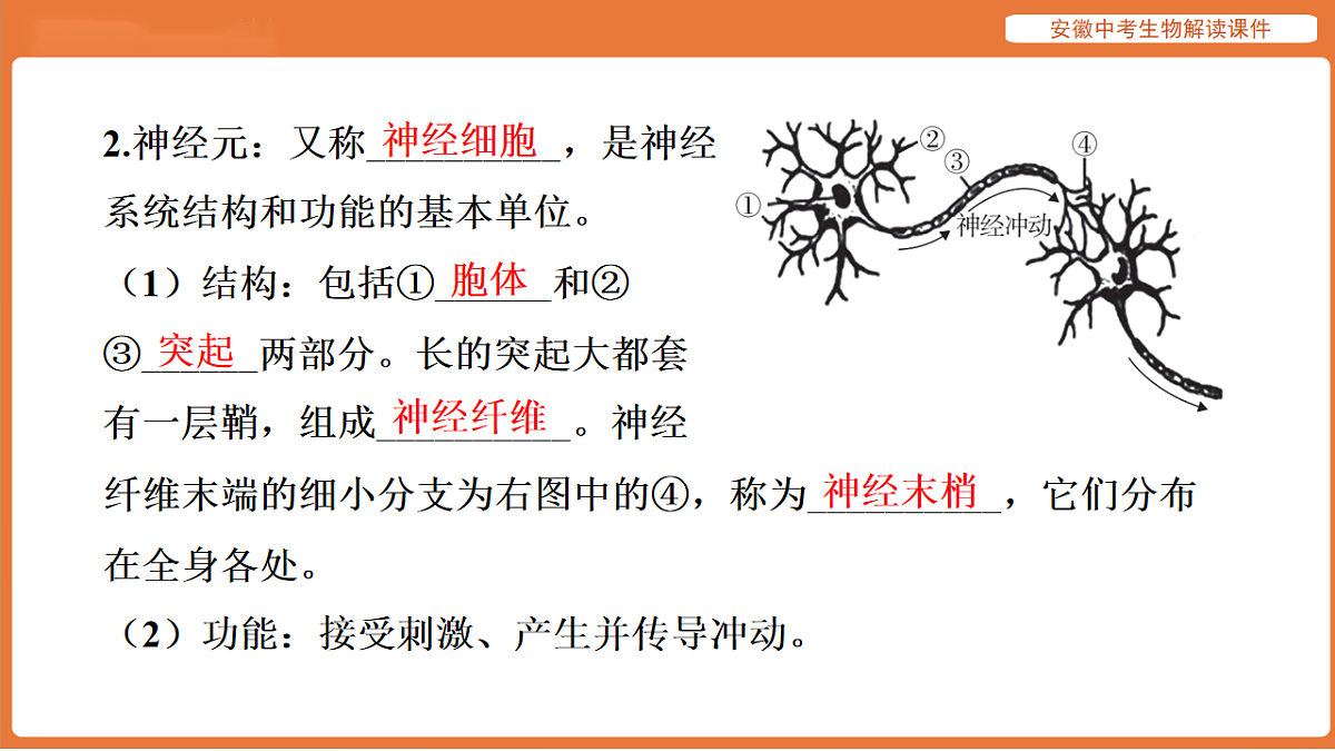 17914493第8页