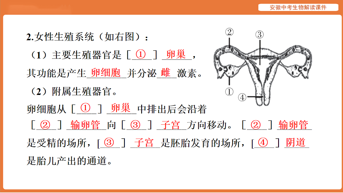 17914496第7页