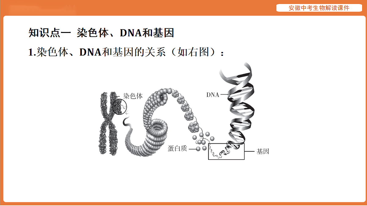17914498第6页