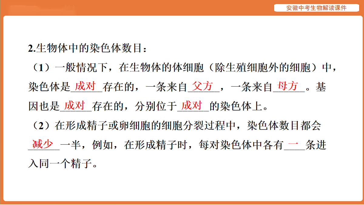 17914498第8页