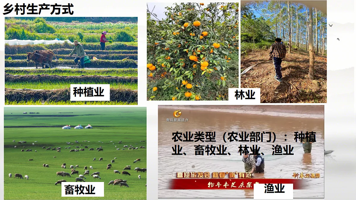 17914567第5页