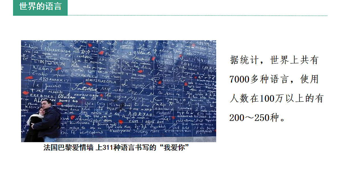 17914693第5页