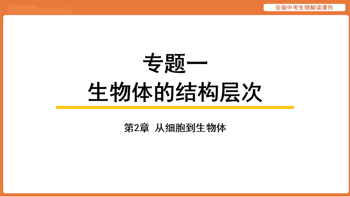 17914798第1页