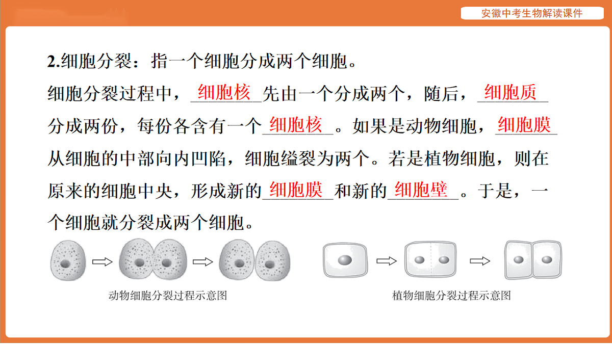 17914798第7页