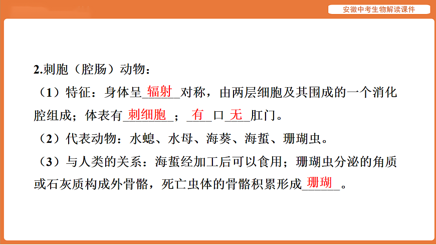 17914800第7页