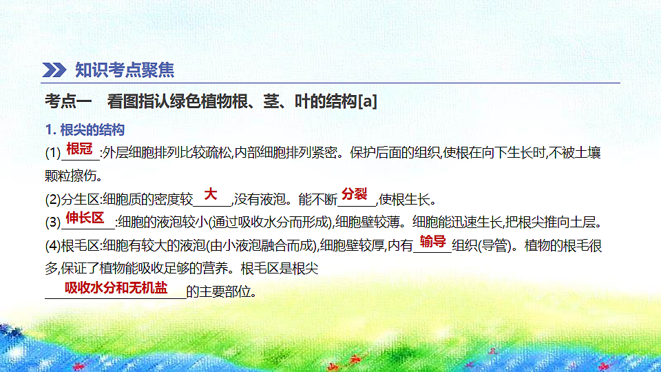 17914803第2页