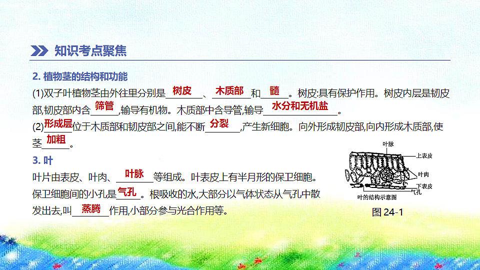 17914803第3页