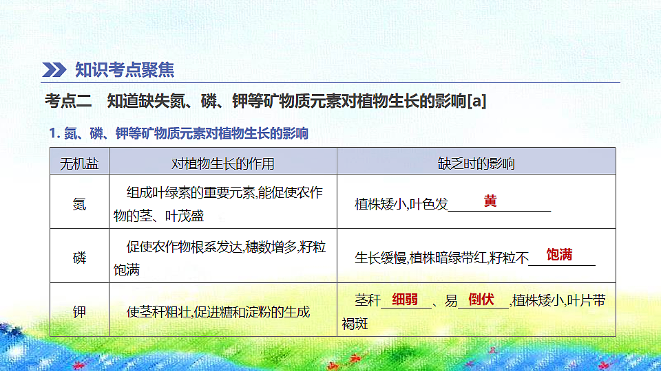 17914803第4页