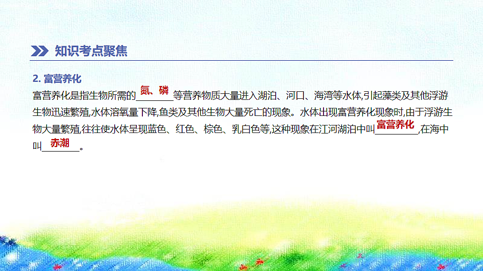 17914803第5页