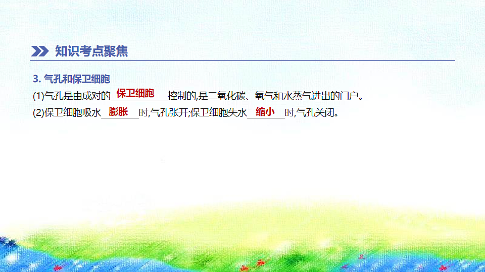 17914803第7页
