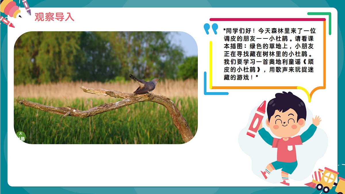 《顽皮的小杜鹃》课件第4页