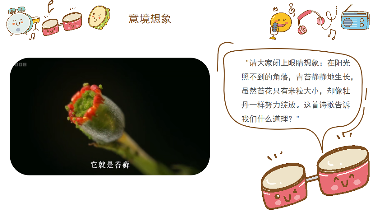 《苔》课件第5页