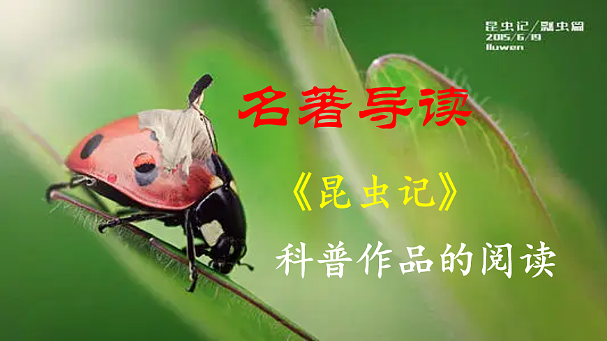 【核心素养】部编版初中语文八上第五单元名著导读《昆虫记》第2页