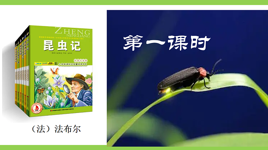 【核心素养】部编版初中语文八上第五单元名著导读《昆虫记》第4页