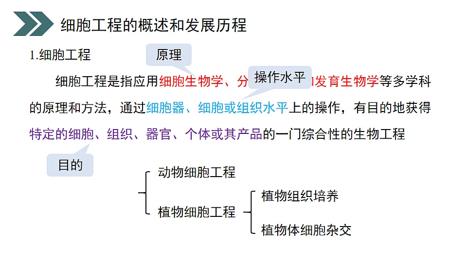 17918173第2页