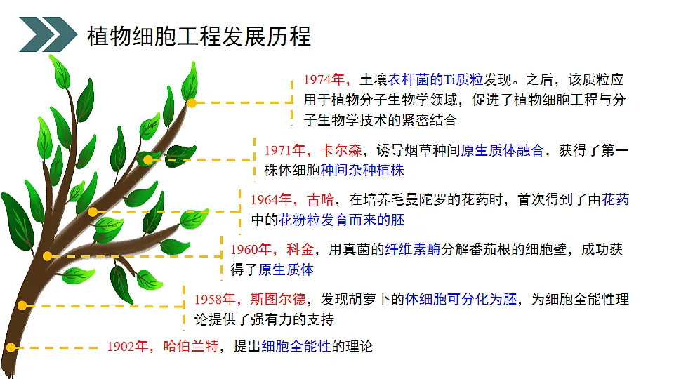 17918173第3页