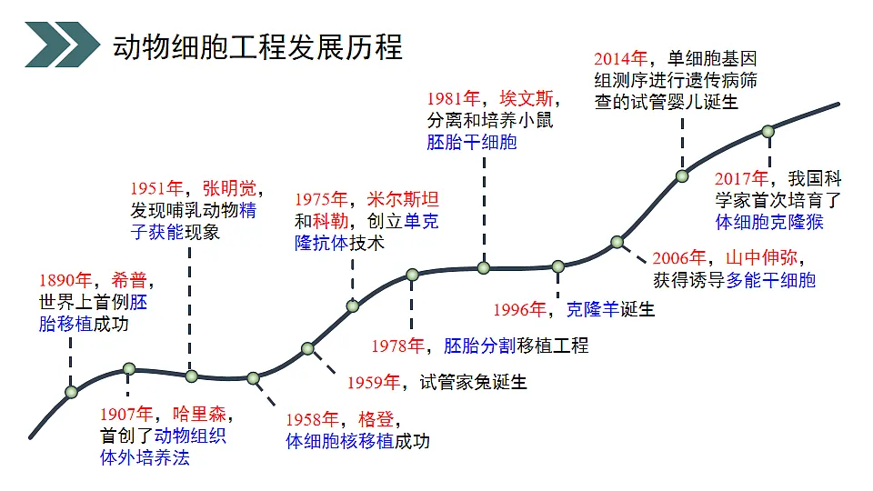 17918173第4页