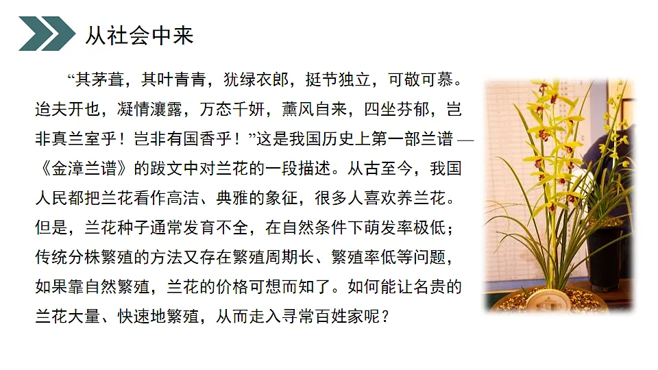 17918173第6页