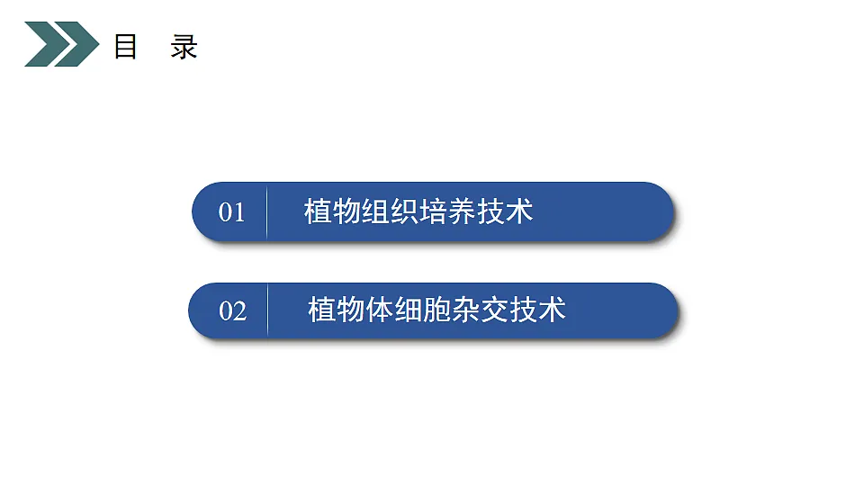17918173第7页