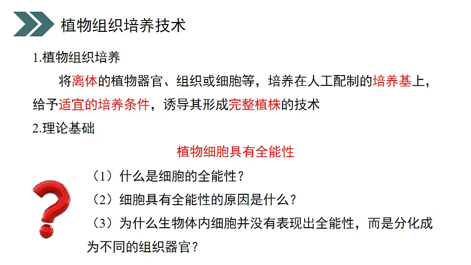 17918173第8页