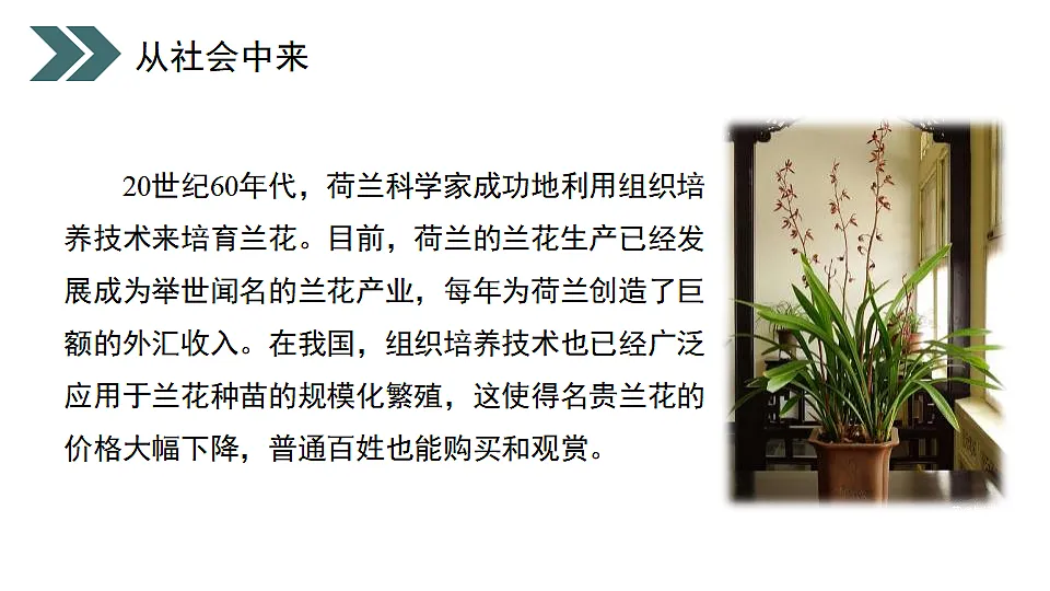 17918174第3页