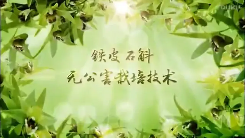 17918174第5页