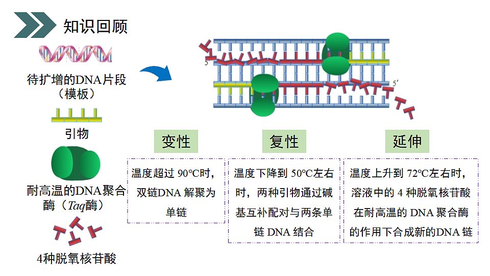 17918183第3页