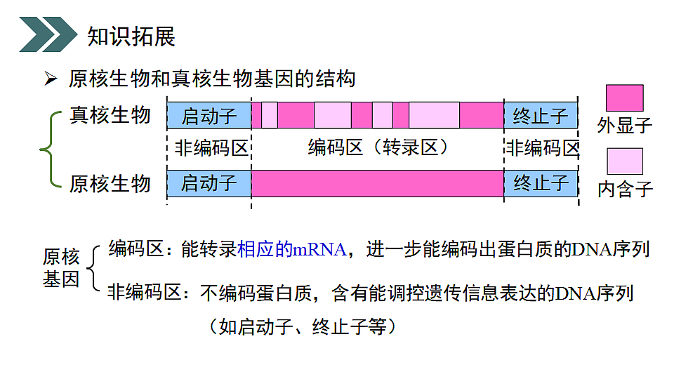 17918183第4页