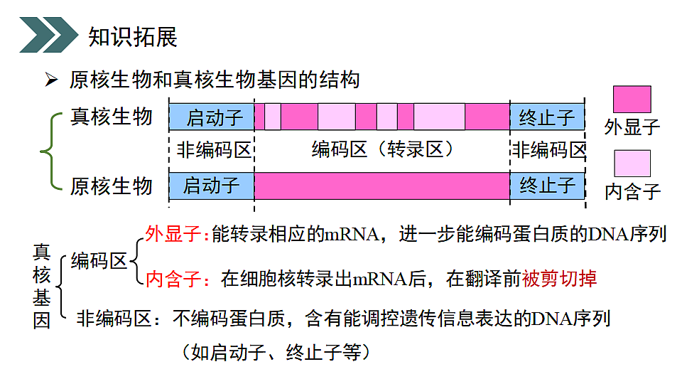 17918183第5页