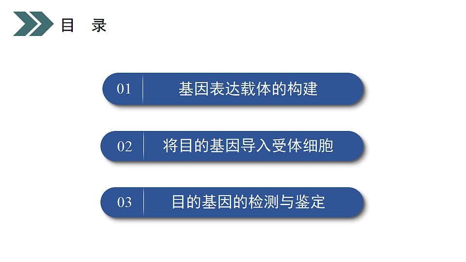 17918183第7页