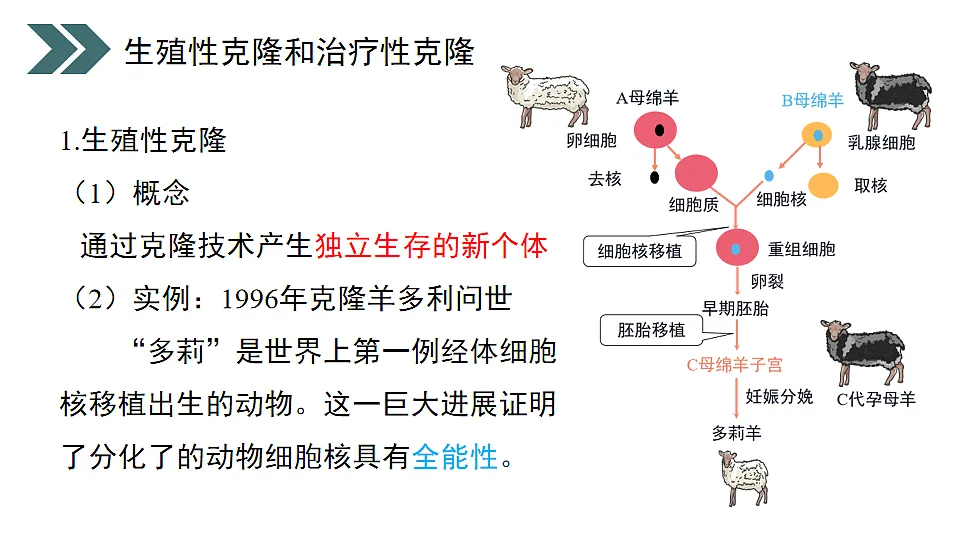 17918186第5页