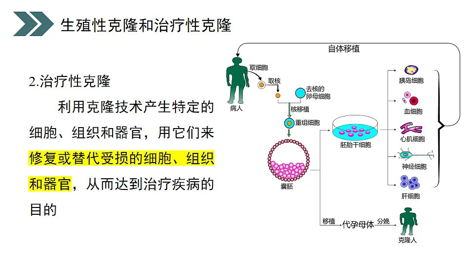 17918186第6页
