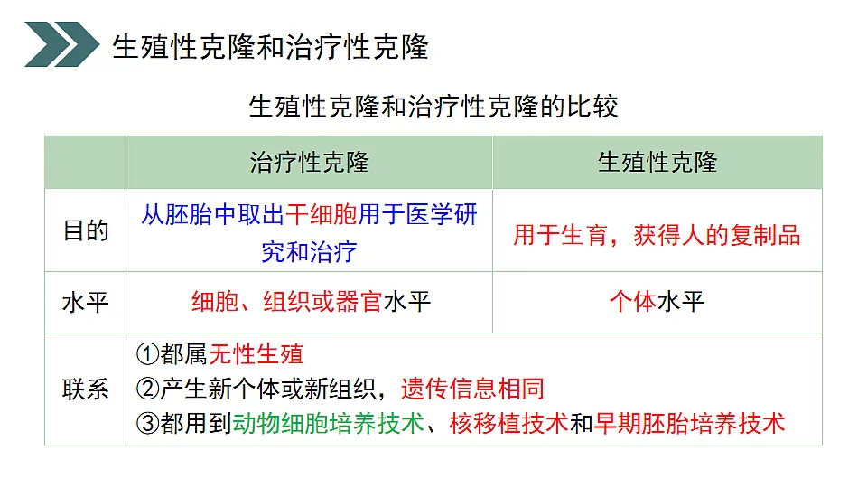 17918186第7页