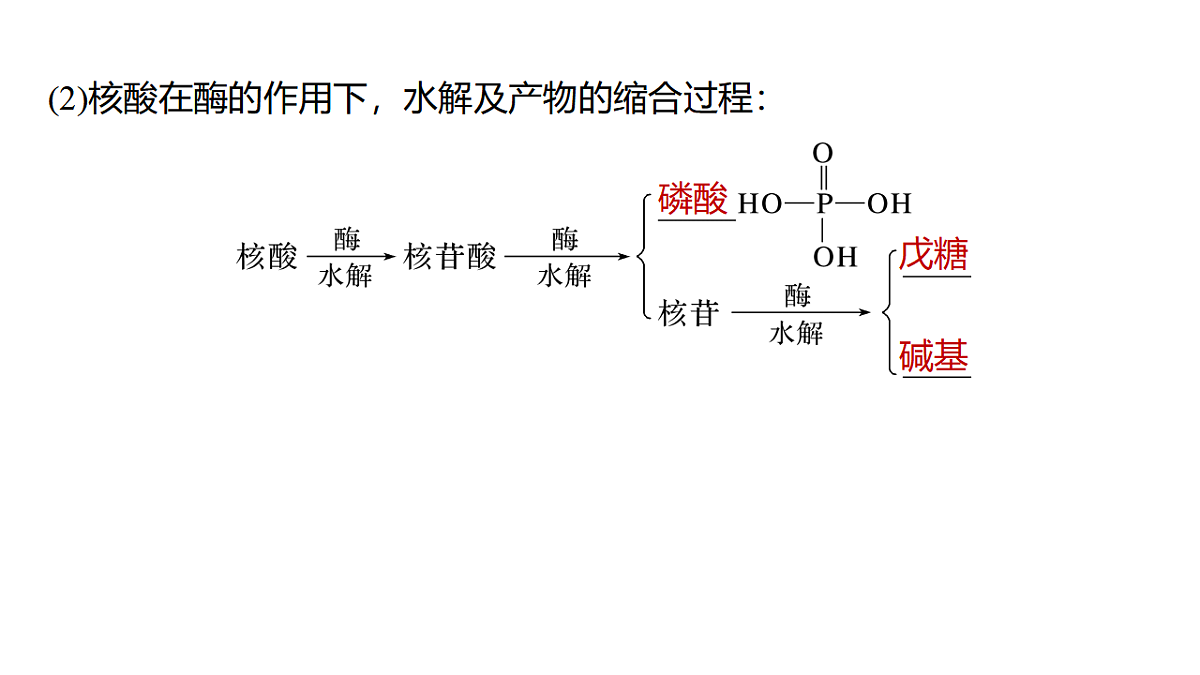 17918826第7页