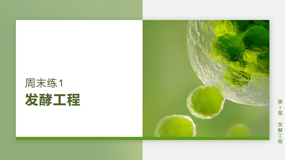 17919170第1页