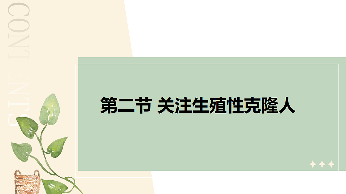 17919173第7页