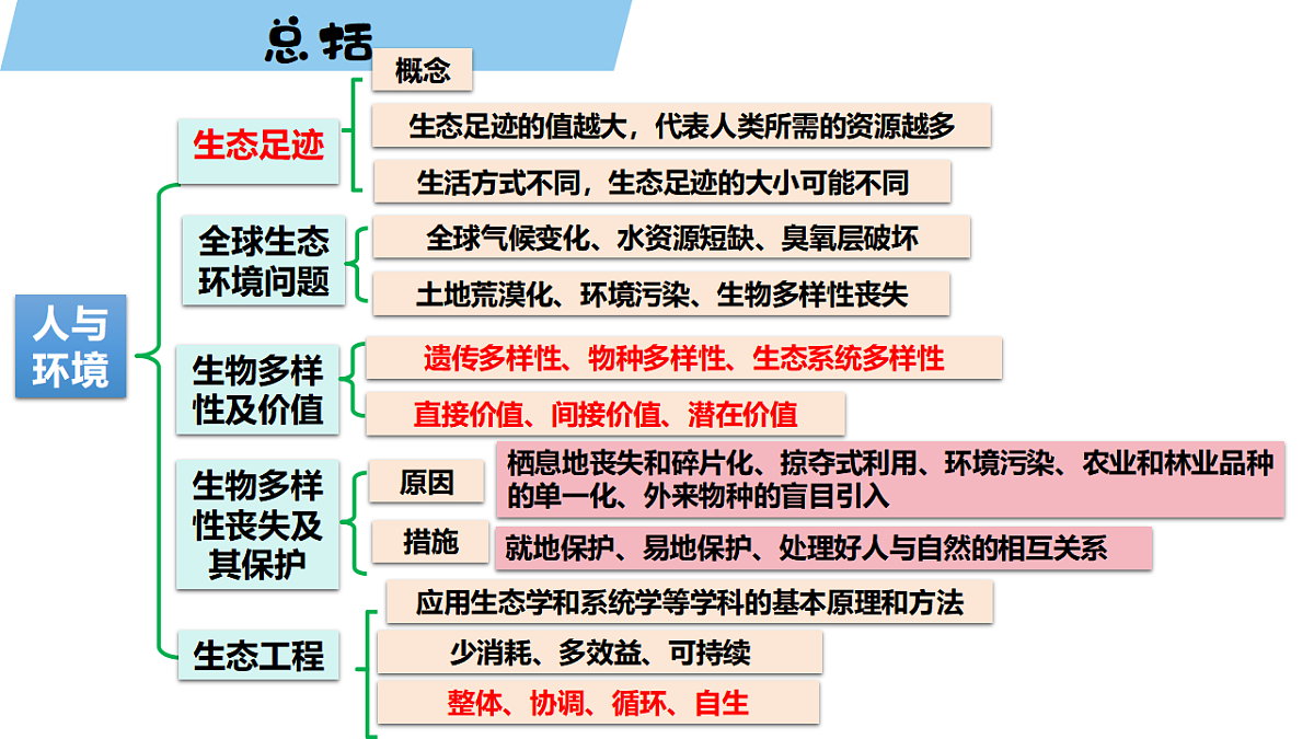 17919242第3页