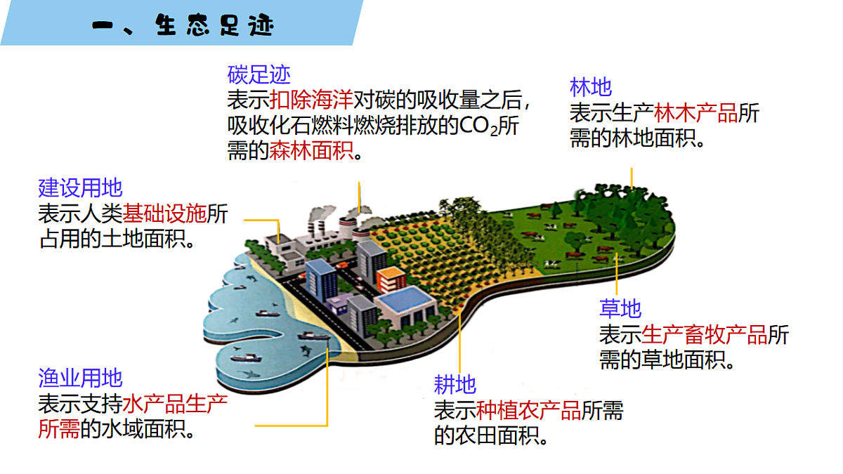 17919242第5页