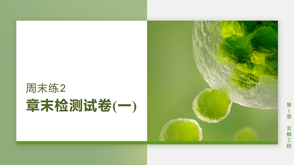 17919310第1页