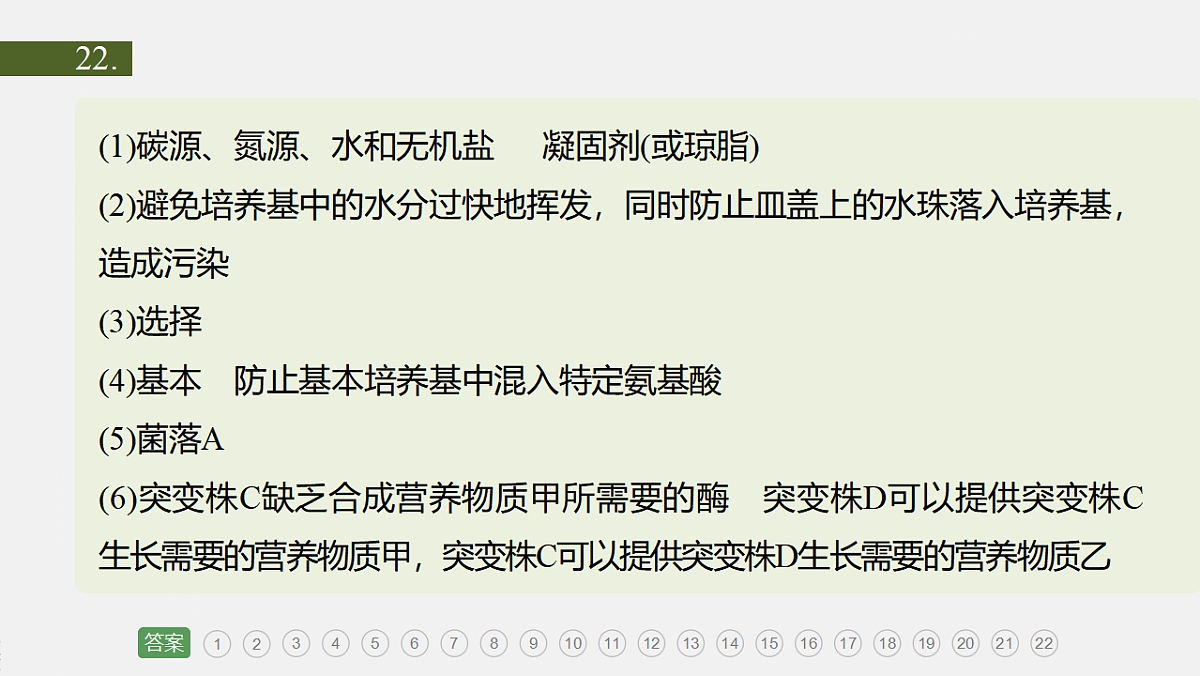 17919310第7页