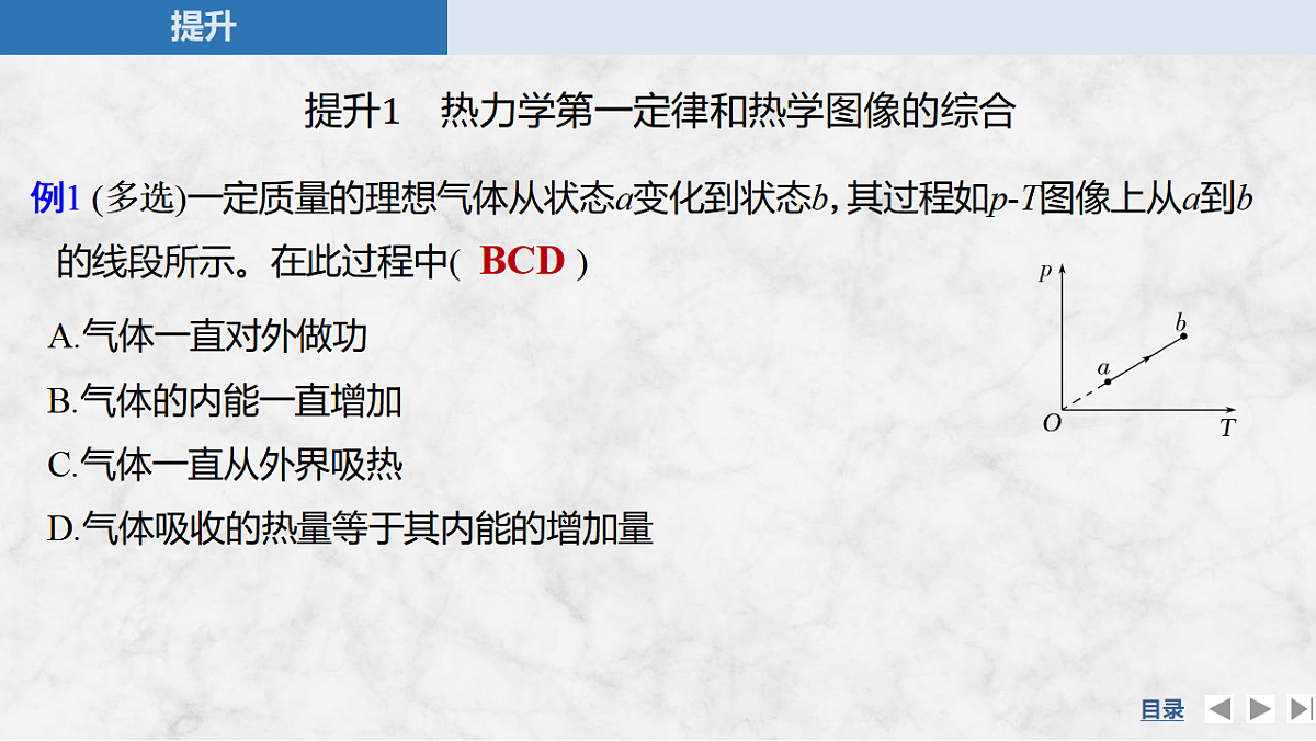 17919385第5页