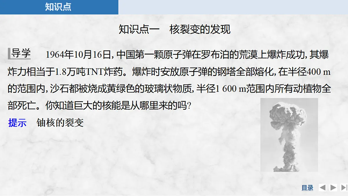 17919396第5页