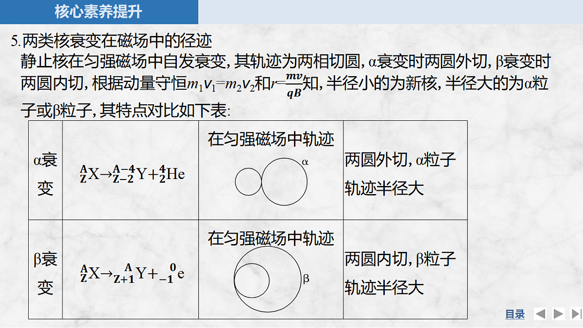 17919405第8页
