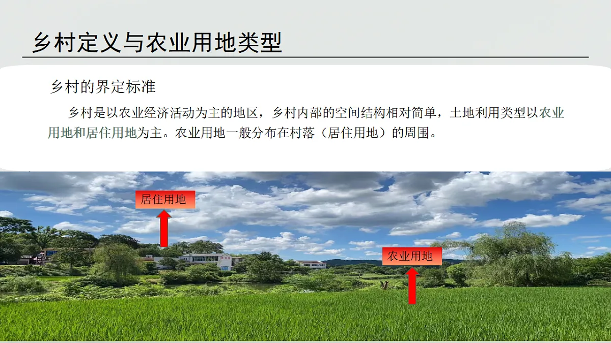 17919685第5页