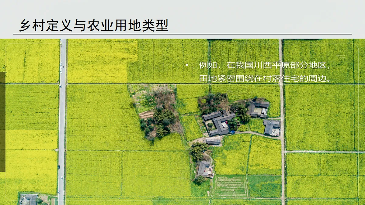 17919685第6页
