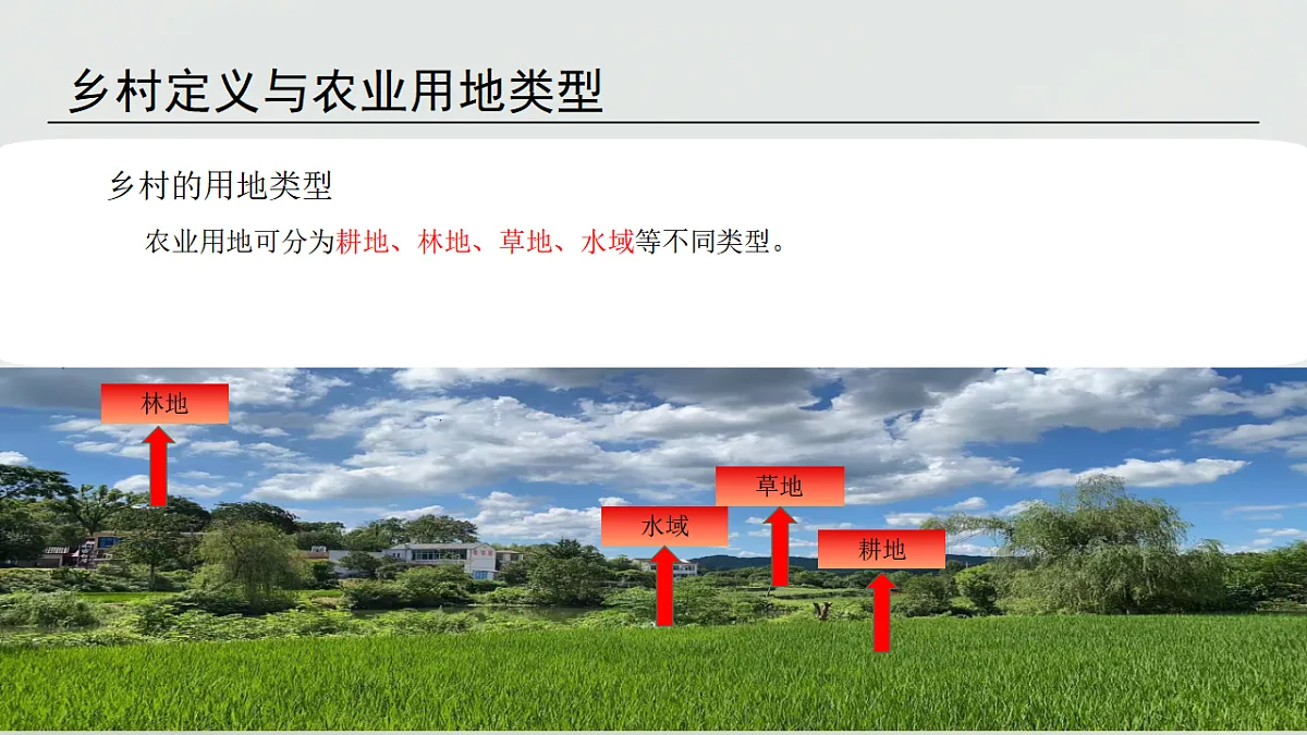 17919685第7页